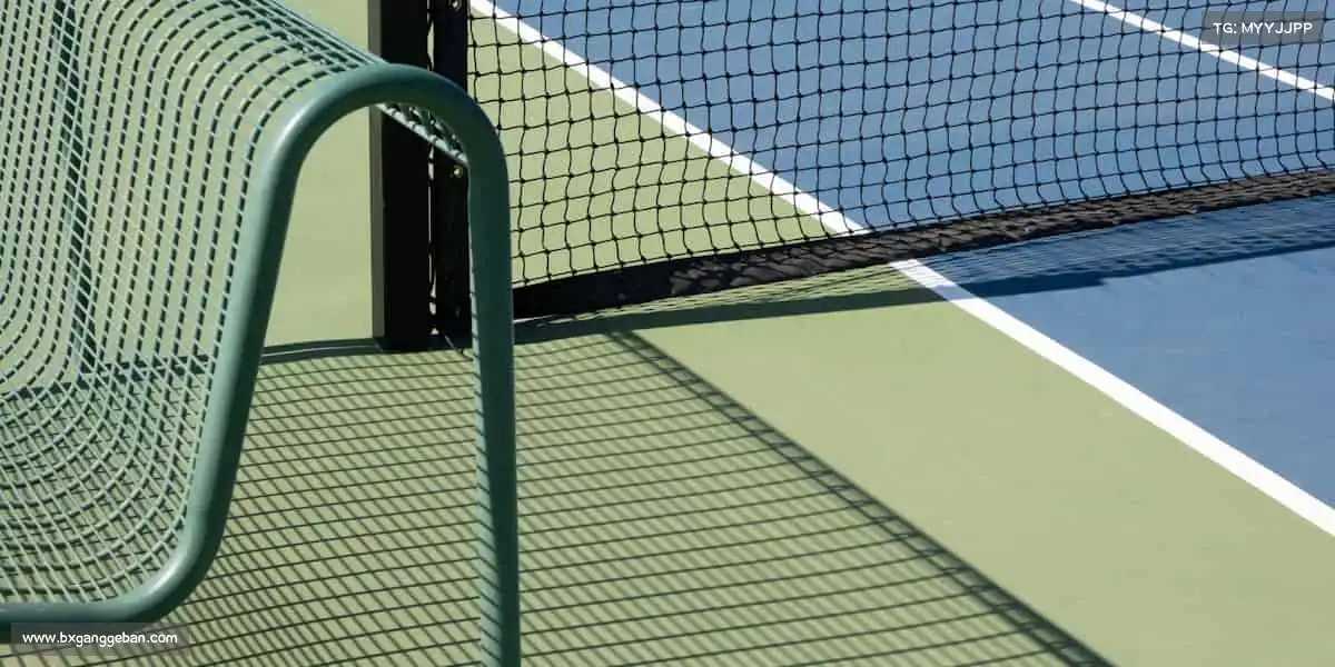 PA旗舰厅✨星光不负赶路人，运动不负有心人！你的坚持，终将闪耀全场～